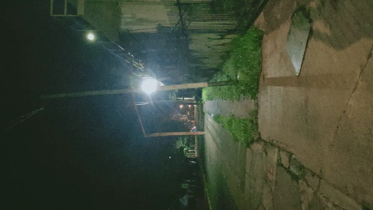 プエルトイグアスの夜道