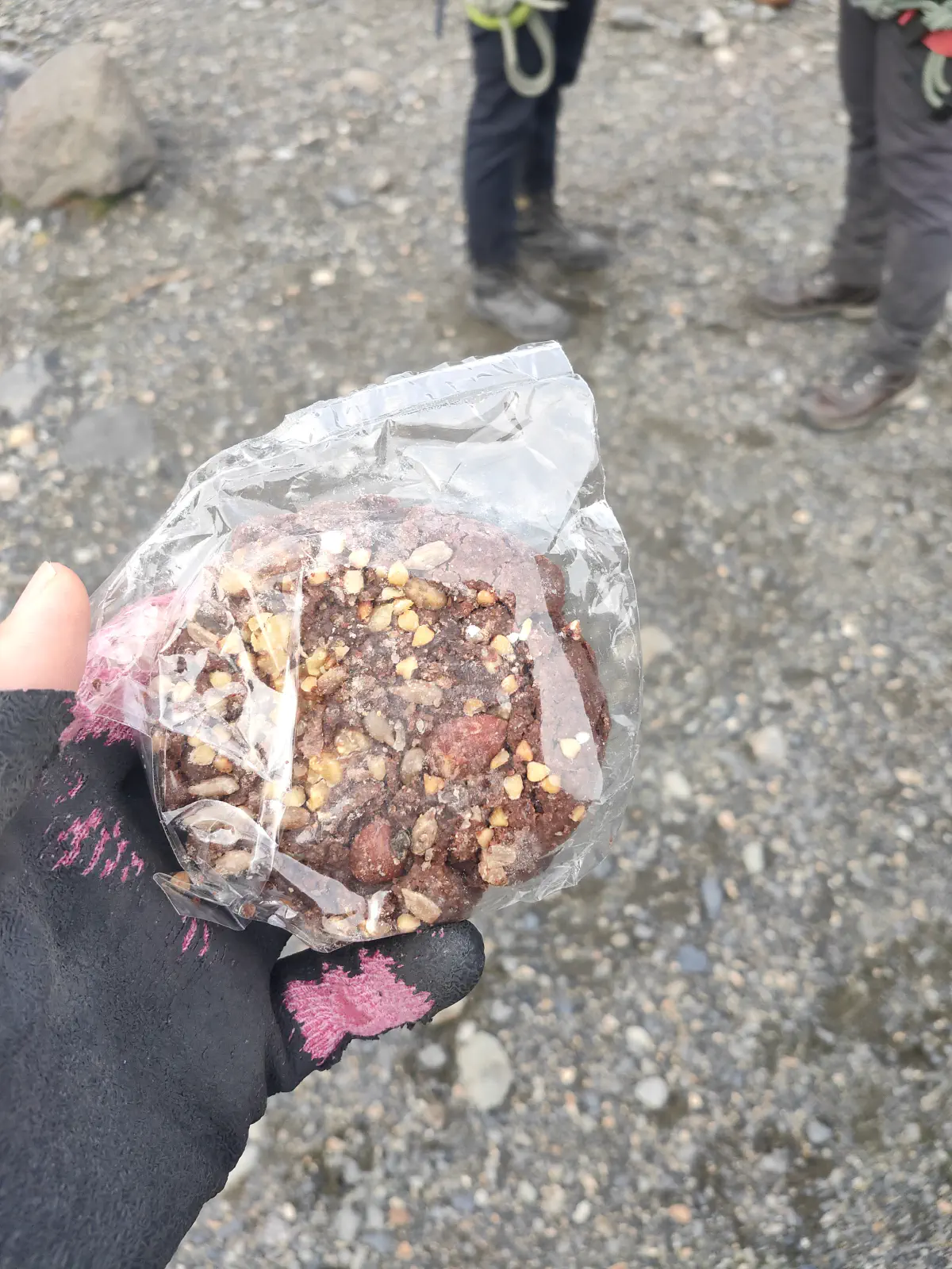 ツアーガイドから配られた携行食のクッキー。