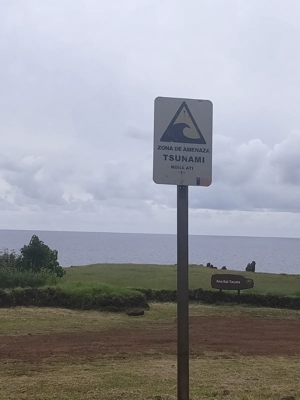 「ZONA DE AMENAZA TSUNAMI」と書かれた警告標識。背後に草原と海岸線