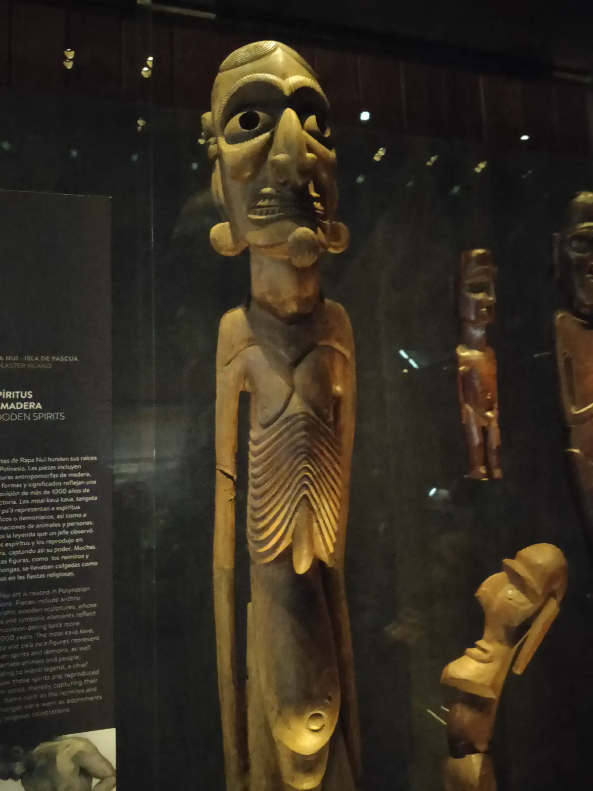 イースター島のモアイ・カバ・カバ（痩身の木彫り霊像）の展示。胸部の肋骨を強調した彫刻